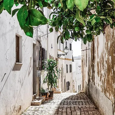 Hébergement de vacances Casa