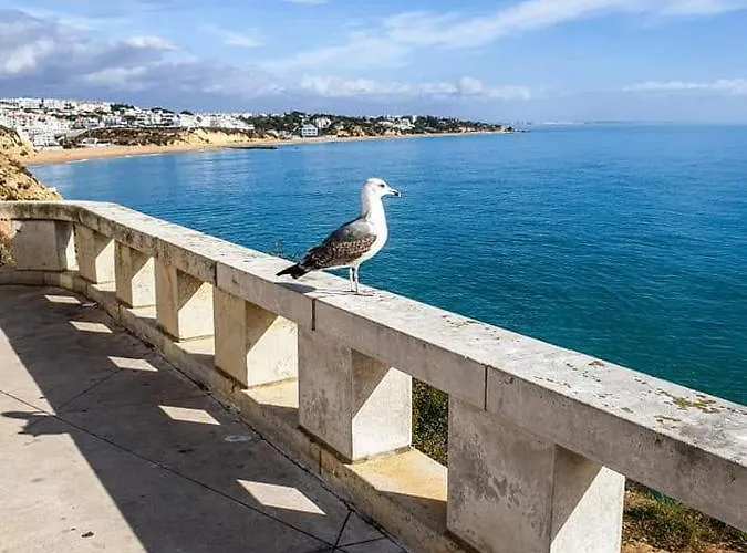 بيت للعطل Casa *